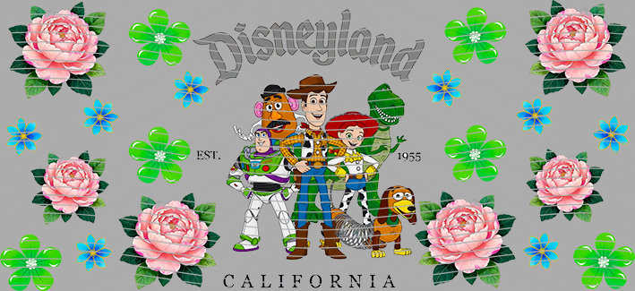 16oz Disney style-D-2031
